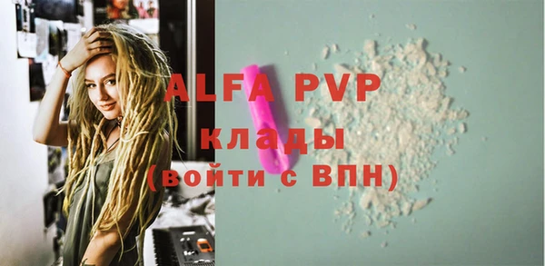 дживик Касимов