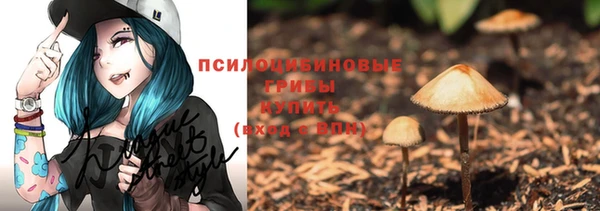 тгк Козельск