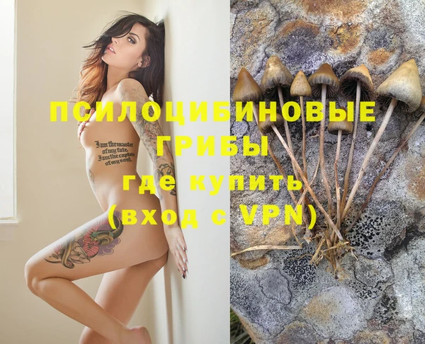 MDMA Premium VHQ Карпинск