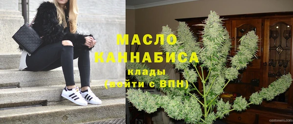 индика Козловка