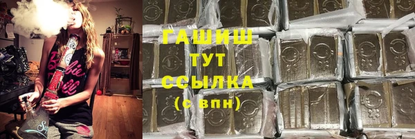 индика Козловка