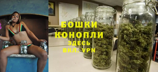СК Кодинск