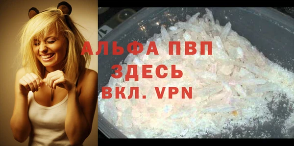 дживик Касимов
