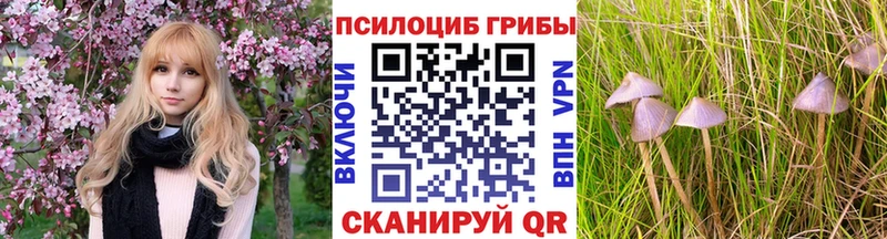 Галлюциногенные грибы мицелий  дарнет шоп  Нижняя Тура 