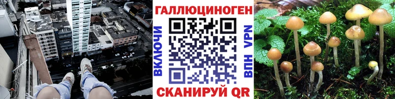 Псилоцибиновые грибы Magic Shrooms Нижняя Тура